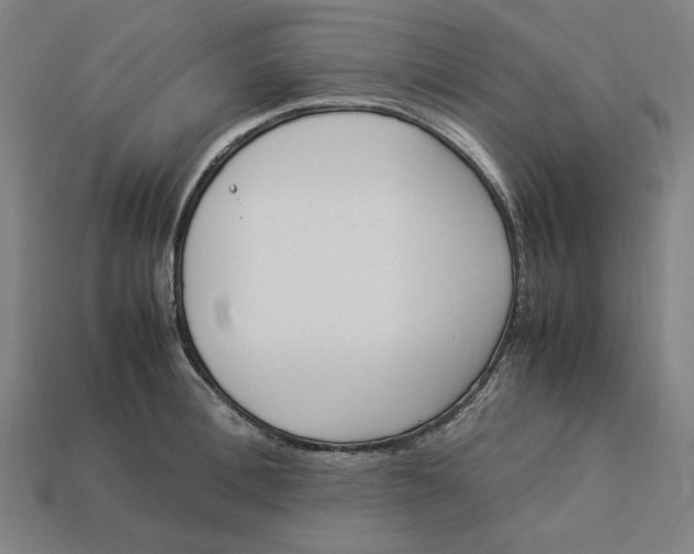 X0000113350996200910061015