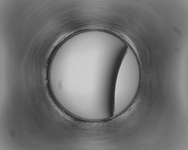 X0000113350997200910061015