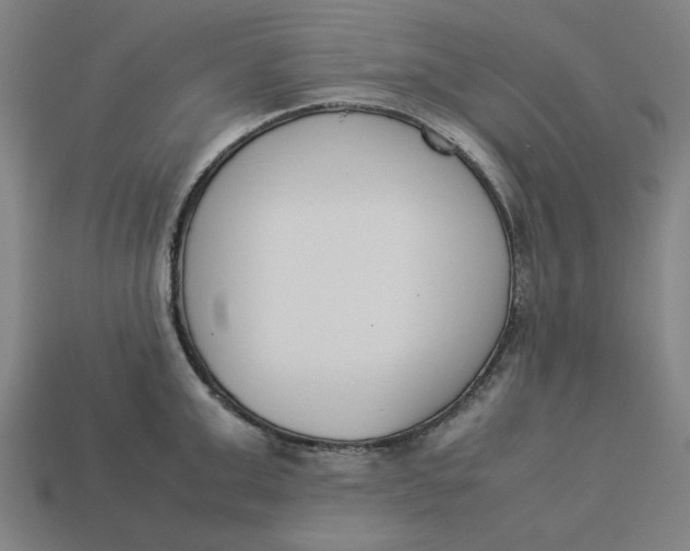 X0000113350999200910061015