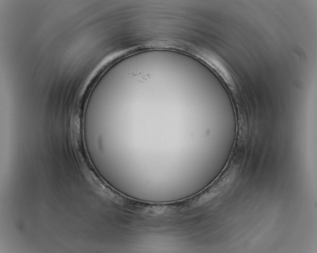 X0000113351000200910061015