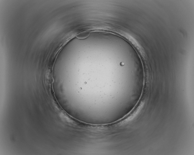 X0000113351001200910061015