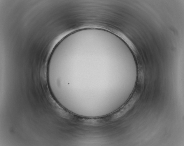 X0000113351004200910061015