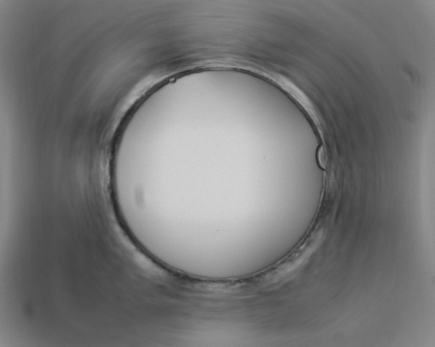 X0000113351005200910061015