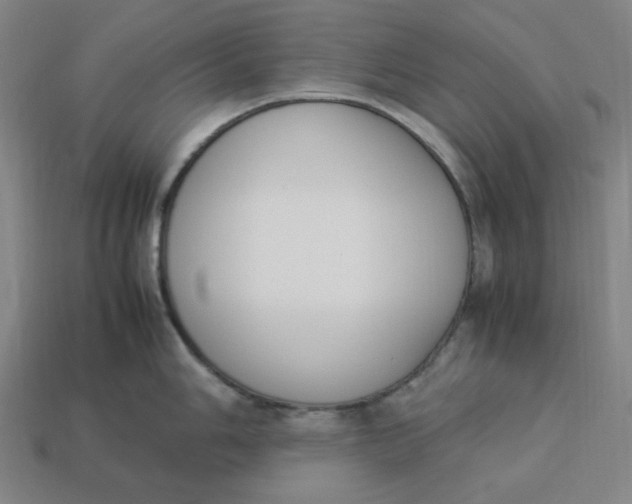 X0000113351006200910061015