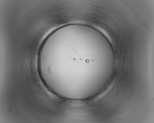 X0000113351007200910061015