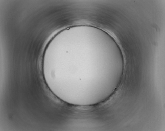 X0000113351008200910061015