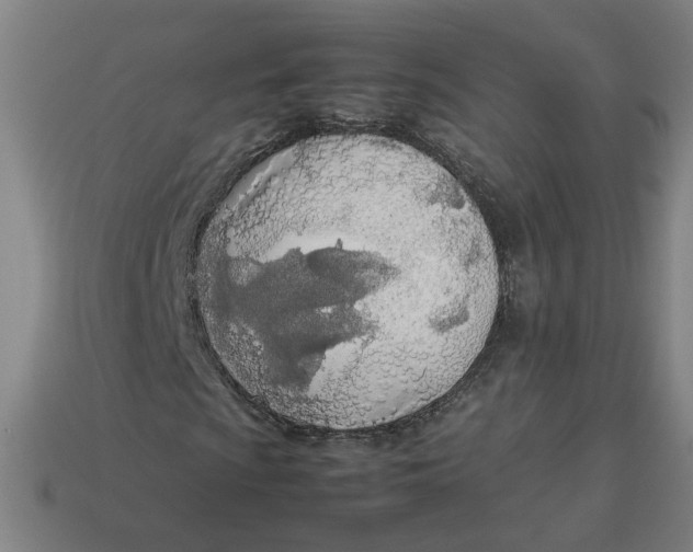 X0000113351009200910061014