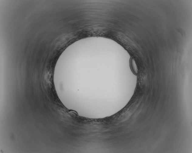 X0000113351010200910061014