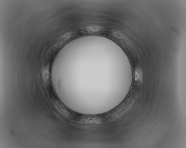 X0000113351011200910061014