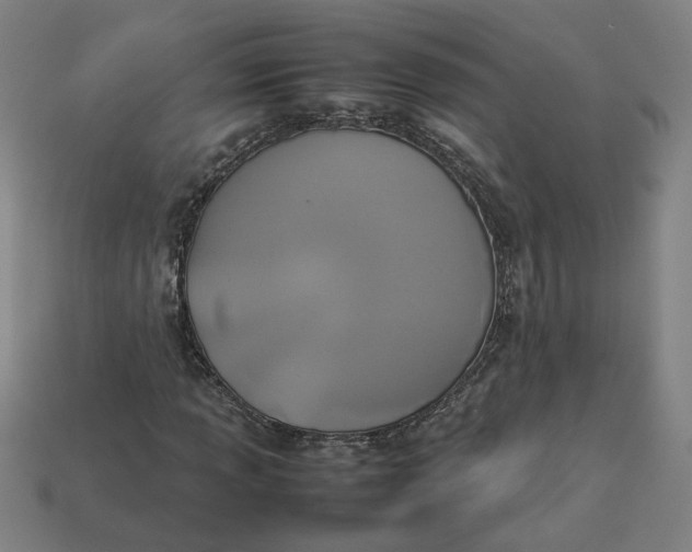 X0000113351013200910061014