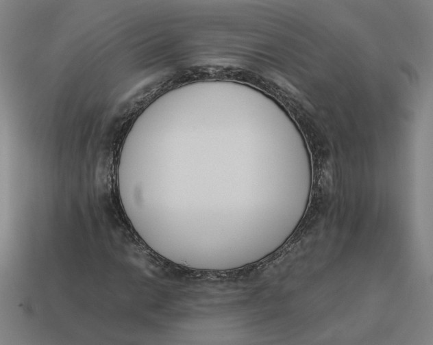 X0000113351014200910061014