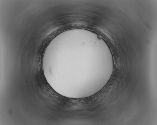 X0000113351015200910061014