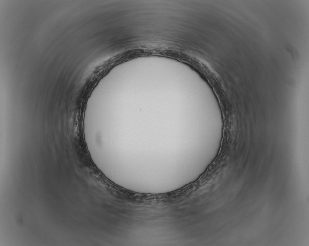 X0000113351016200910061014