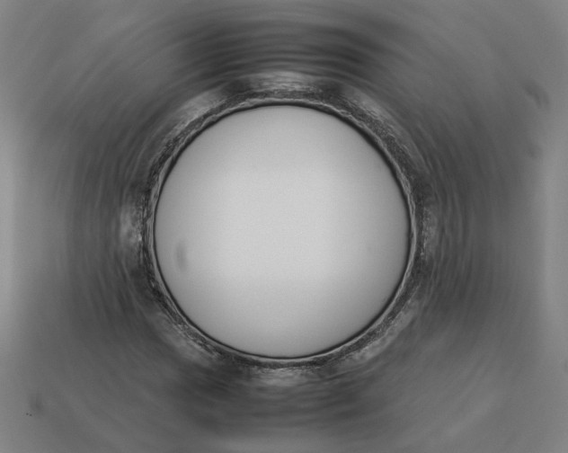 X0000113351017200910061014