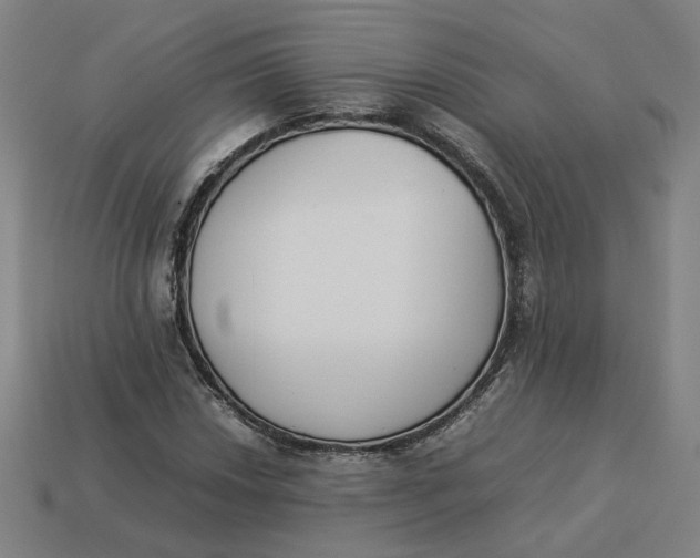 X0000113351018200910061014