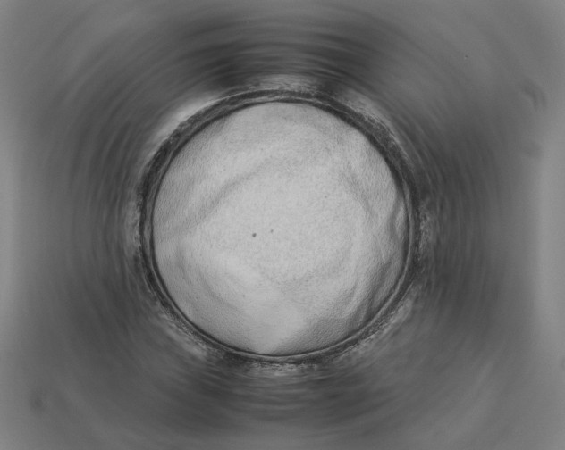 X0000113351019200910061014