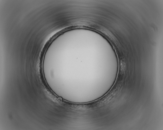 X0000113351020200910061014