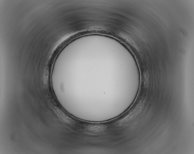 X0000113351021200910061014