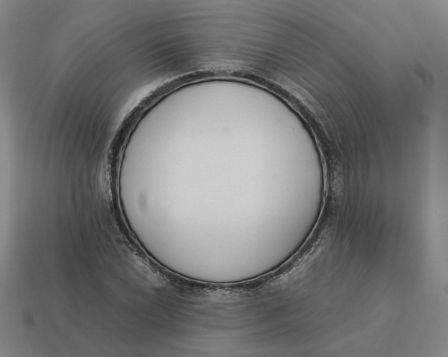 X0000113351022200910061014