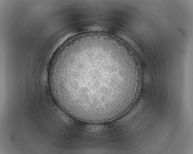 X0000113351023200910061014