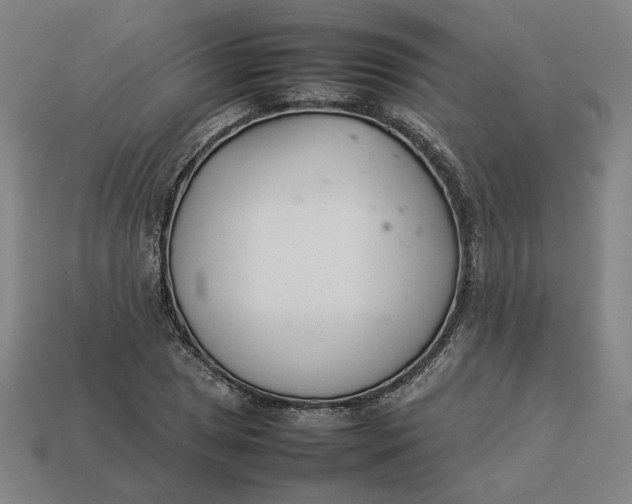 X0000113351025200910061014