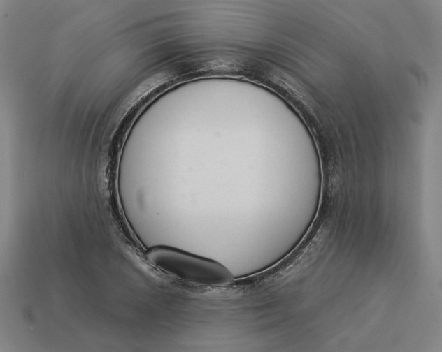 X0000113351026200910061014