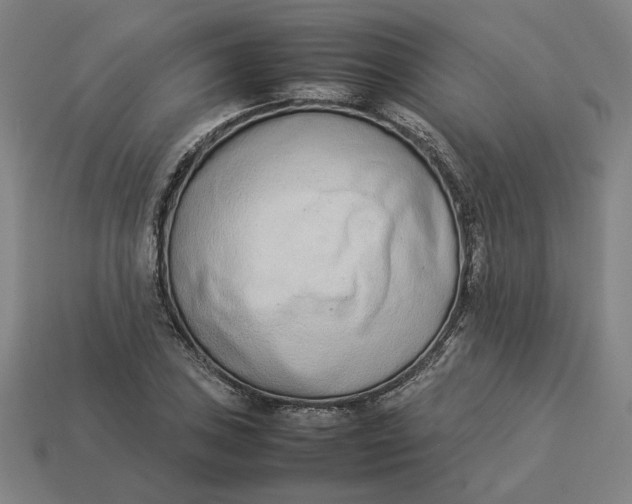 X0000113351027200910061014