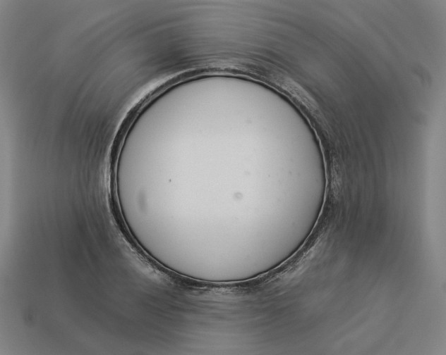 X0000113351028200910061014