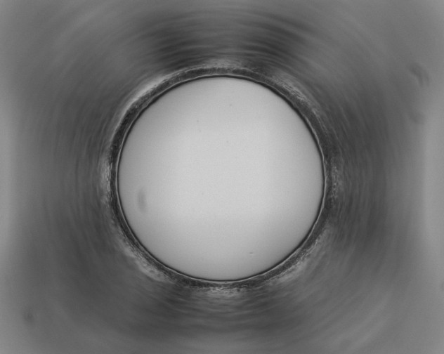 X0000113351029200910061014