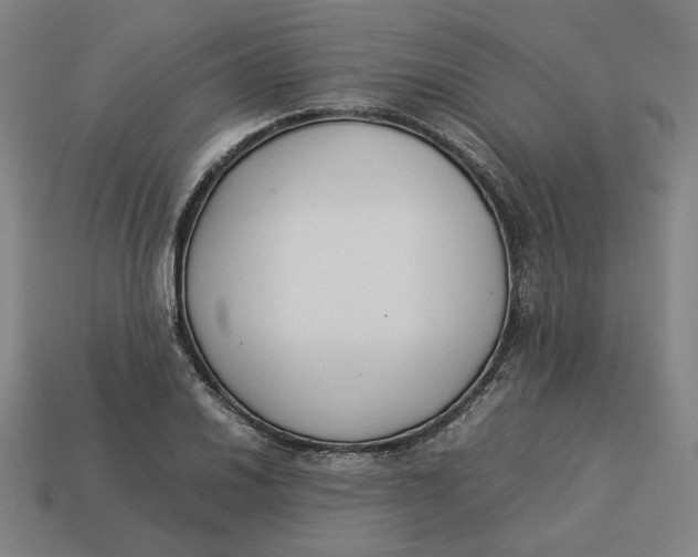 X0000113351030200910061014