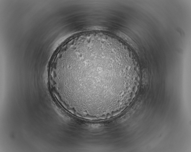 X0000113351031200910061014