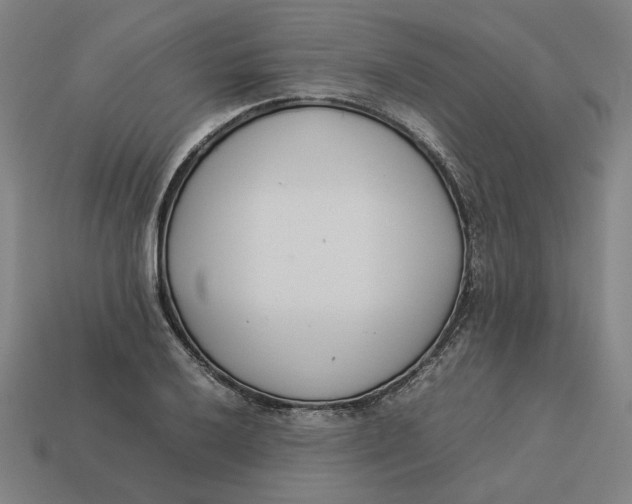 X0000113351032200910061014