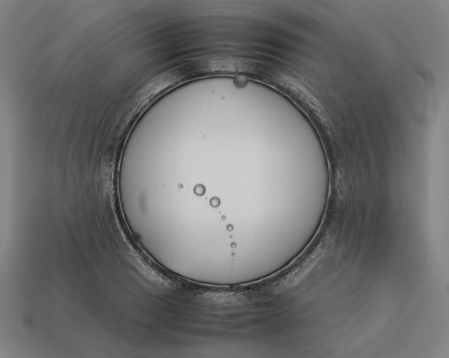 X0000113351033200910061014