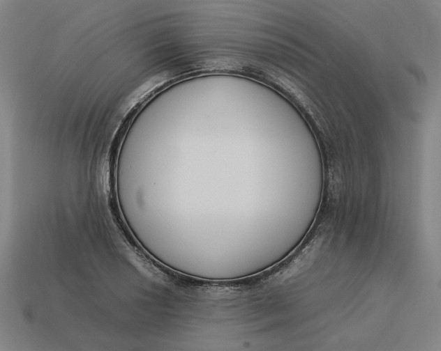 X0000113351034200910061014