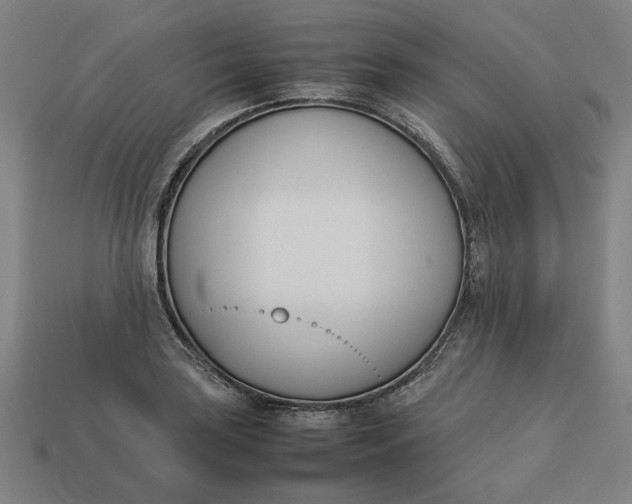 X0000113351035200910061014