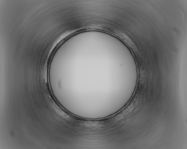 X0000113351036200910061014