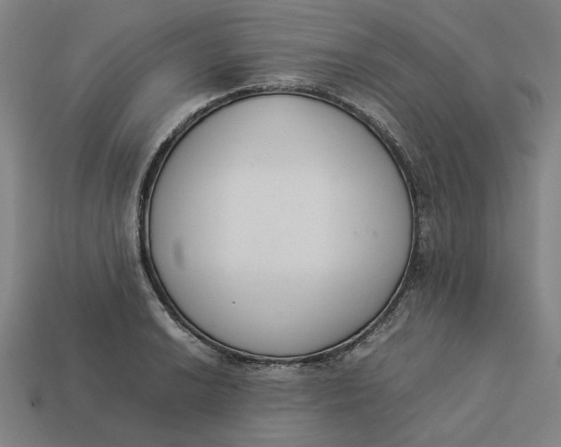 X0000113351038200910061014