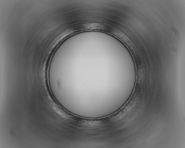 X0000113351039200910061014