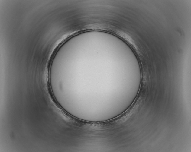 X0000113351040200910061014