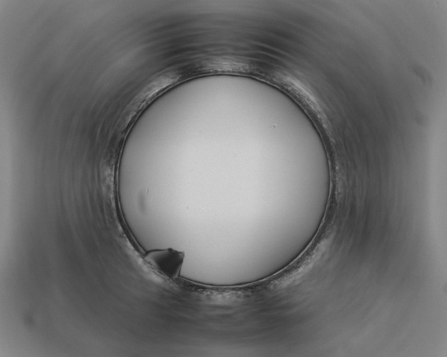 X0000113351041200910061014