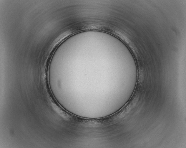 X0000113351042200910061014