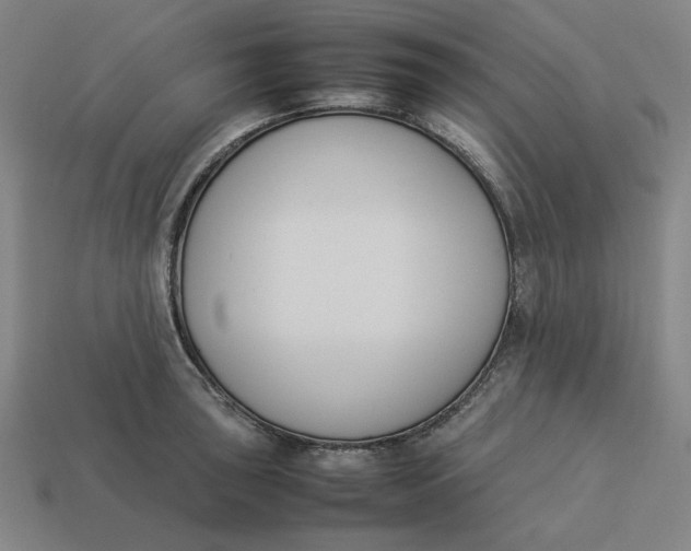 X0000113351043200910061014