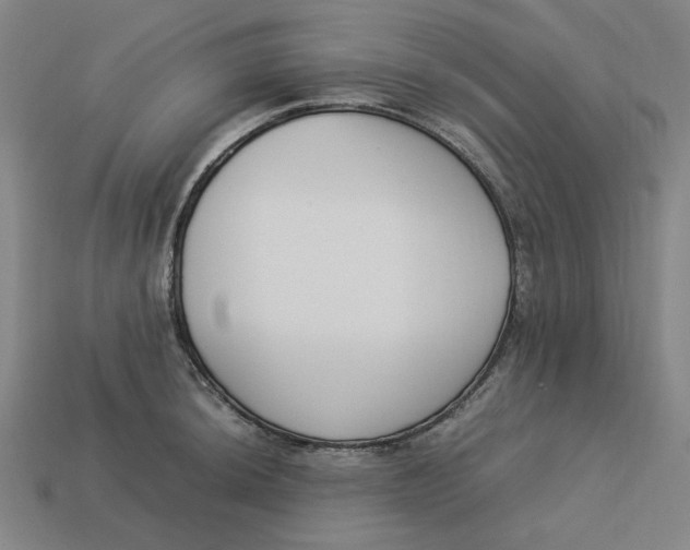 X0000113351044200910061014