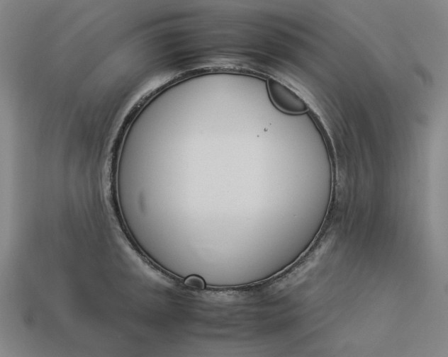 X0000113351045200910061014