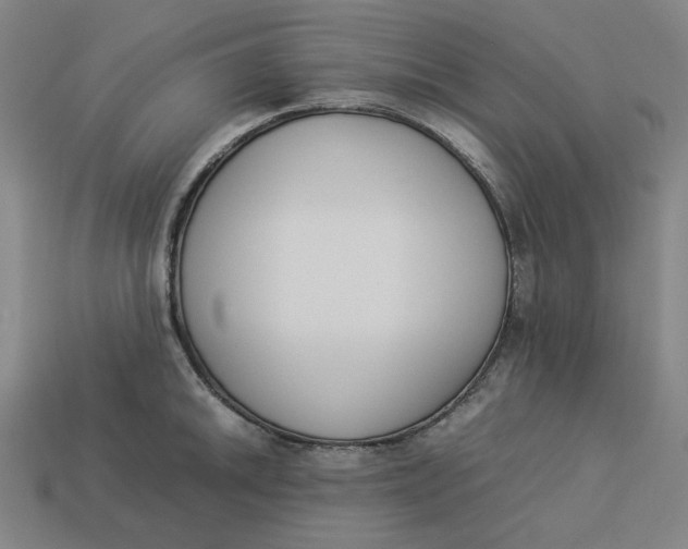 X0000113351046200910061014