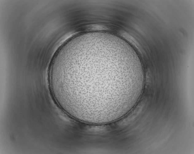 X0000113351047200910061014