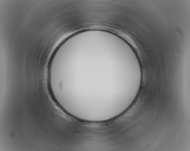 X0000113351048200910061014