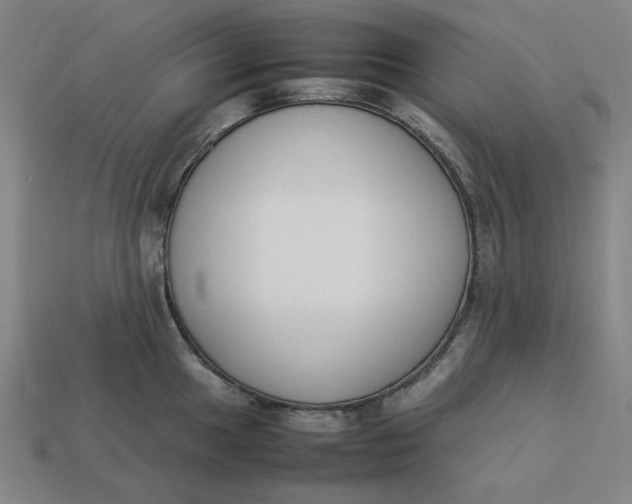 X0000113351049200910061014