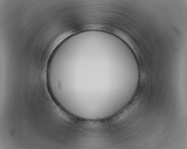 X0000113351050200910061014