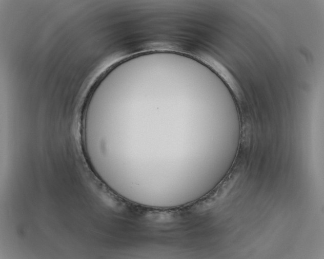 X0000113351051200910061014